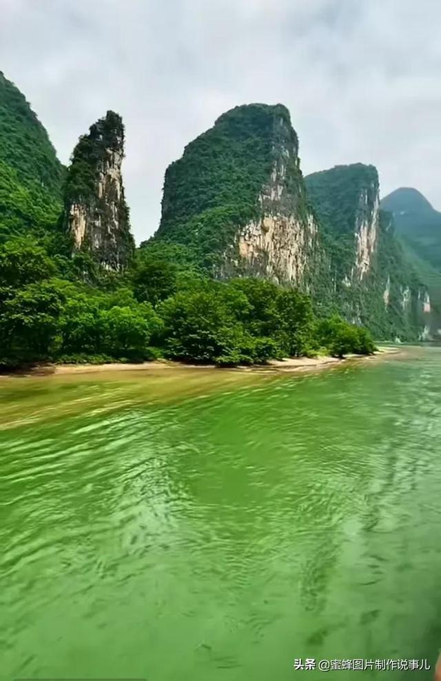 龙虾好吃吗-网上社区-热门话题讨论平台